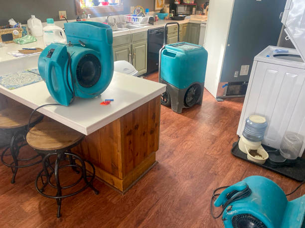 Best Local water damage restoration  in Caldwell, OH