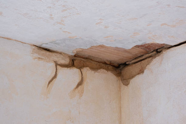 Best 24-hour water damage restoration  in Caldwell, OH