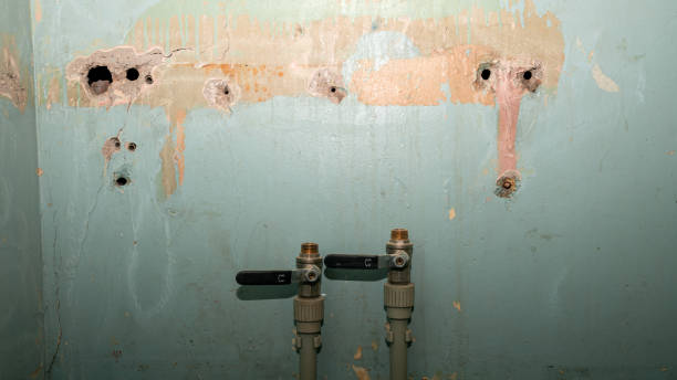 Best Carpet water damage restoration  in Caldwell, OH