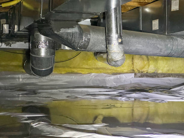 Best 24-hour water damage restoration  in Caldwell, OH