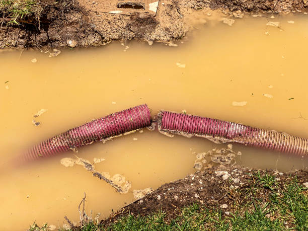 Best Flood restoration services  in Caldwell, OH