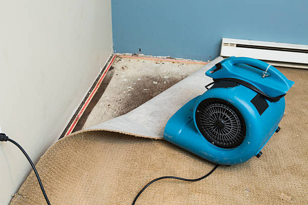 Best Ceiling water damage repair  in Caldwell, OH